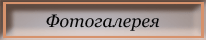 Фотогалерея